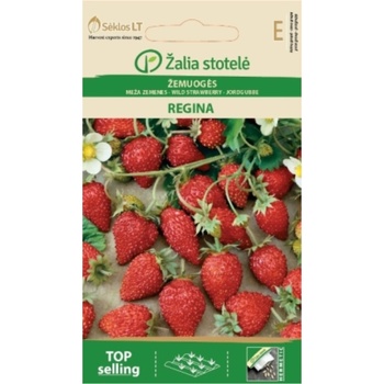 Image 1 of Ягоди Регина Fragaria vesca