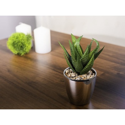 SLOVAKIA TREND Sukulent MagicHome S15642 17 cm kvetináč - plast strieborný