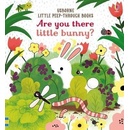 Are you there Little Bunny? Sam Taplin