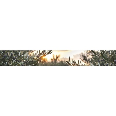 mySPOTTI SP-F3-1818 Samolepiaca PVC tapeta do kuchyne Splash Oliva 4500 x 600 mm