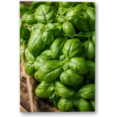 Plakát – Čerstvá bazalka s kapkami vody 90 × 135 cm Bez rámu Ne Bez rámu