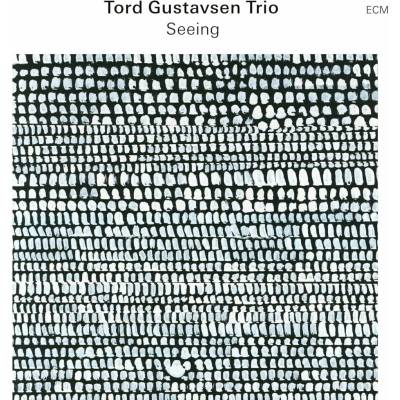 Seeing Tord Gustavsen Trio Vinyl Album LP