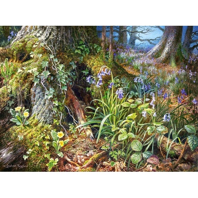 Castorland Z ruského lesa 2000 dílků