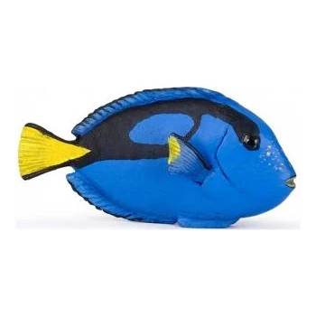 Image 1 of Papo - Фигурка за колекциониране и игра - Риба Surgeonfish (56024)