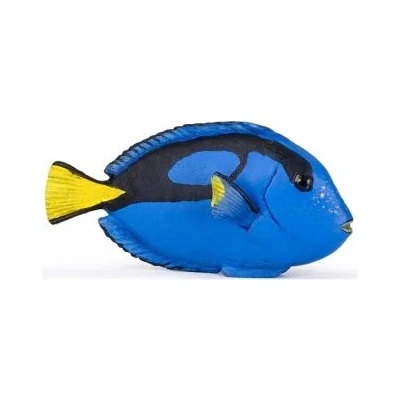 Papo - Фигурка за колекциониране и игра - Риба Surgeonfish (56024)
