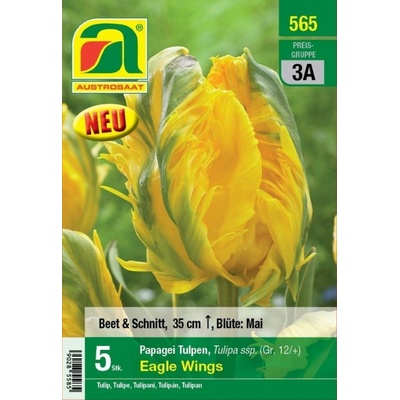 AUSTROSAAT Papagájovité tulipány Eagle Wings - 5 cibúľ