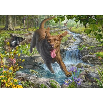 Schmidt Spiele - Puzzle Fredrickson: Retriever in Spring - 1 000 piese