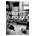 Cat Inside - Burroughs William S