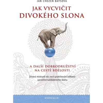 Jak vytrénovat divokého slona - Jan Chozen Baysová