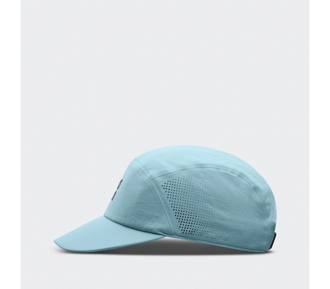On Performance Cap
