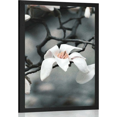 Plakát probouzející se magnolie - 30x45 silver