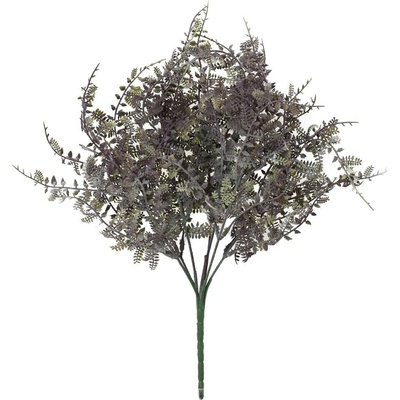 ZELEŇ PAPRAĎ MODRO-SIVÁ 40CM