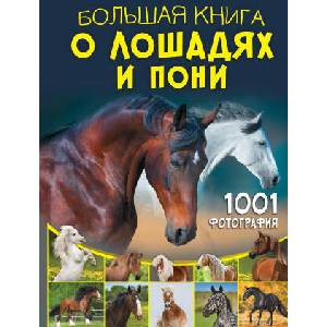 Большая книга о лошадях и пони. 1001 фотография | Анна Спектор (2024)