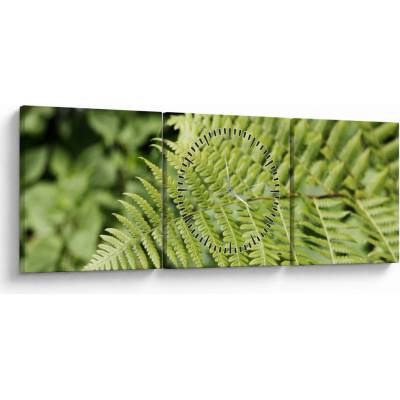 Obraz - Kapradinový list (s hodinami), třídílný 90x30 cm s hodinami – Hledejceny.cz