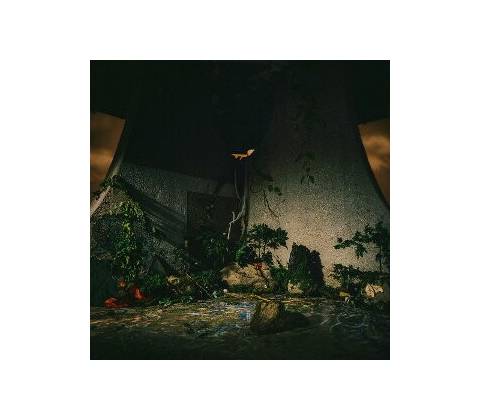 The Plot In You - PLOT IN YOU CD