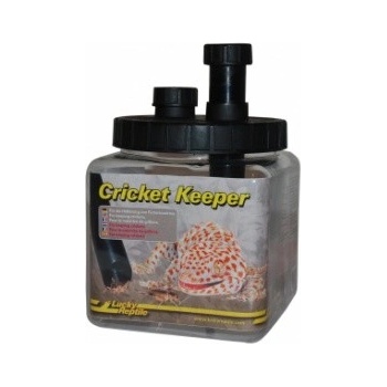 Lucky Reptile Cricket Keeper