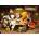 Yazz - Puzzle Winnie Christmas - 1 000 piese