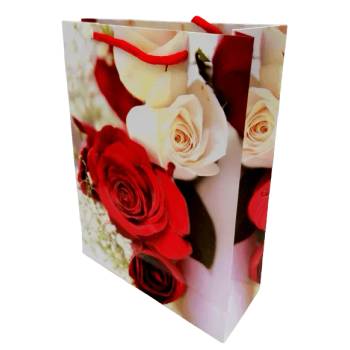 Image 1 of Cangnan Color Bag Co. , Ltd Подаръчни торбички 24 х18 х 7 см. М13-034