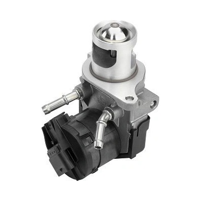 AGR-Ventil BorgWarner (Wahler) 710327D/1