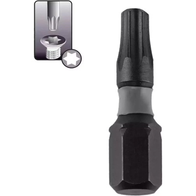 Dedra T30 x 25 mm 10 ks DED-18A53T300-10