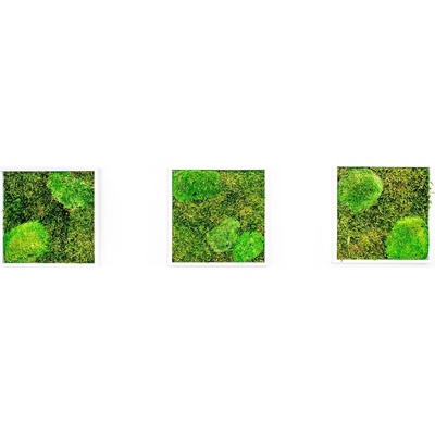 Gardners Set 3 mechových obrazů 22x22 kombinovaný mech kopečkový s plochým, bílá