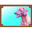 Ostatní pomůcky pro psy Dafiko Tabulka Rhodéský ridgeback