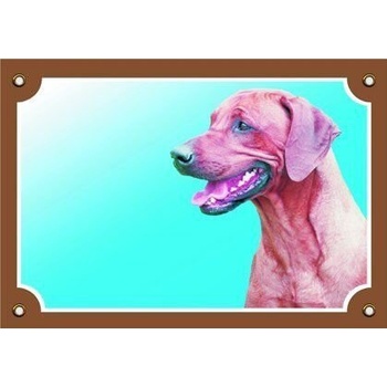 Dafiko Tabulka Rhodéský ridgeback