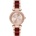 Michael Kors MK6239