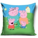 Carbotex Peppa Pig 40 x 40 cm