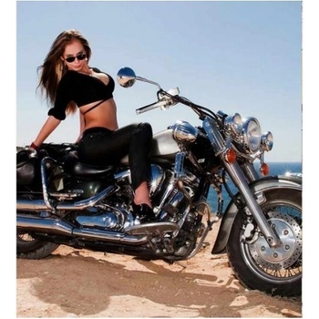 DIMEX ART s. r. o Флизелинов фототапет момиче на мотор 225 x 250 см