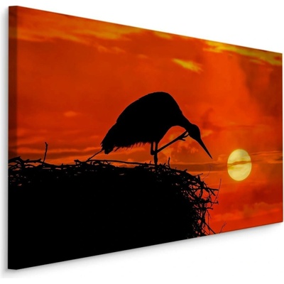 MyBestHome BOX Plátno Čapí Hnízdo Varianta: 90x60