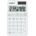Casio SL 310 YC WE