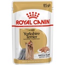 Royal Canin Yorkshire Adult kapsička 12 x 85 g