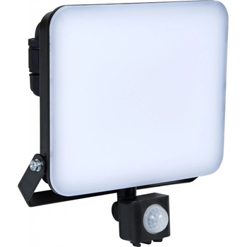 Ecolite RFL02-50W/PIR