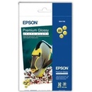 Epson C13S041706