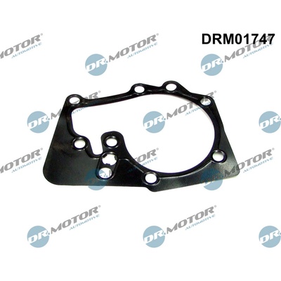 Těsnění, vodní čerpadlo Dr.Motor Automotive DRM01747