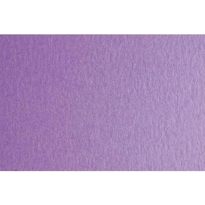 Fabriano Картон Colore, 50 x 70 cm, 200 g/m2, № 244, виолетов (42303244/2_VIOLETTA)