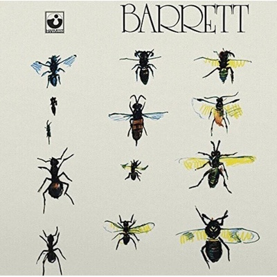 Syd Barrett - Barret (180g) (LP) (825646310784)