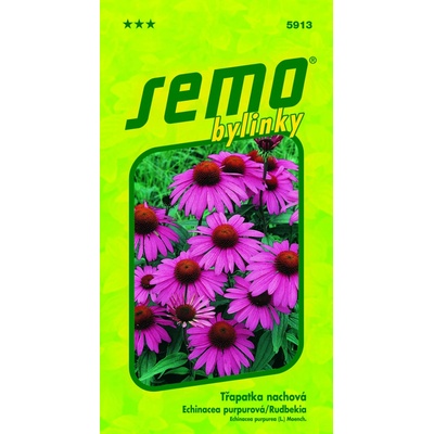 SEMO Echinacea purpurová
