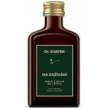 Dr. Svatek SIRUP Z BYLÍN NA LYŽIČKU NA TRÁVENIE 250 ml