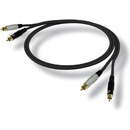 Bespeco EA2R300