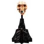 Weta Workshop Lord of the Rings - Череп на орк от Мория миниатюра (861304429)