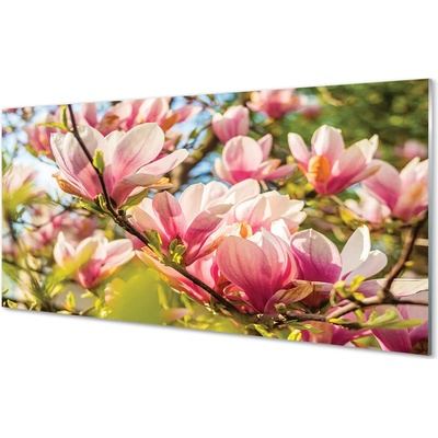 Obraz plexi Ružová magnólia 100x50 cm