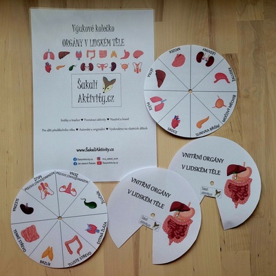 ORGÁNY V LIDSKÉM TĚLE - výukové kolečko Provedení: Komplet - hotové aktivity k okamžitému použití
