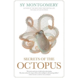 SECRETS OF THE OCTOPUS | MONTGOMERY SY (2024)