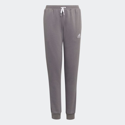 adidas Entrada 22 šedá