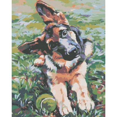 Diamondi Diamantové maľovanie ŠTENIATKO OVČIAKA 40 x 50 cm bez rámu a bez vypnutia plátna
