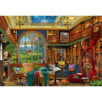 Bluebird Puzzle - Puzzle Country Library - 1 000 piese