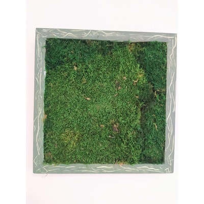 Machový obraz- lesný mach 45cm x 45cm