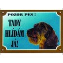 Dafiko Tabulka jezevčík drsnosrstý